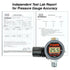 HVLP Spray Gun Air Regulator with Automatic Digital Pressure Gauge and Diaphragm Control